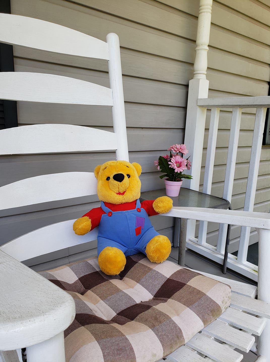 bear hunt photos (22).jpg